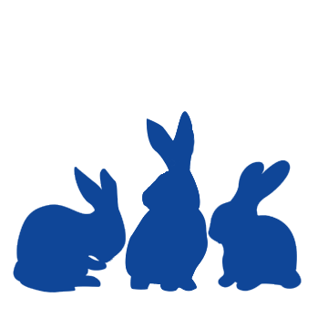 conejos engorde